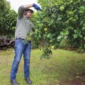 The Ultimate Guide to Satsuma Movers: Expert Tips and Insights