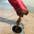 Unclogging a Shower Drain: A How-To Guide