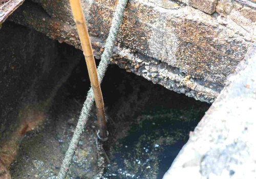 Sewer Blockages: What You Need to Know